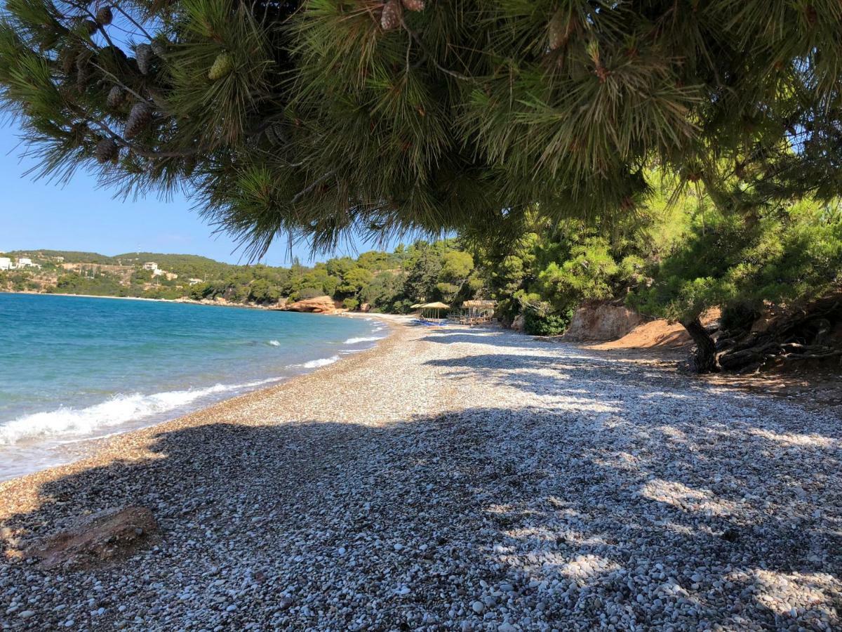 Villa Marina Porto Heli Bagian luar foto