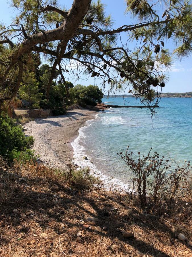 Villa Marina Porto Heli Bagian luar foto